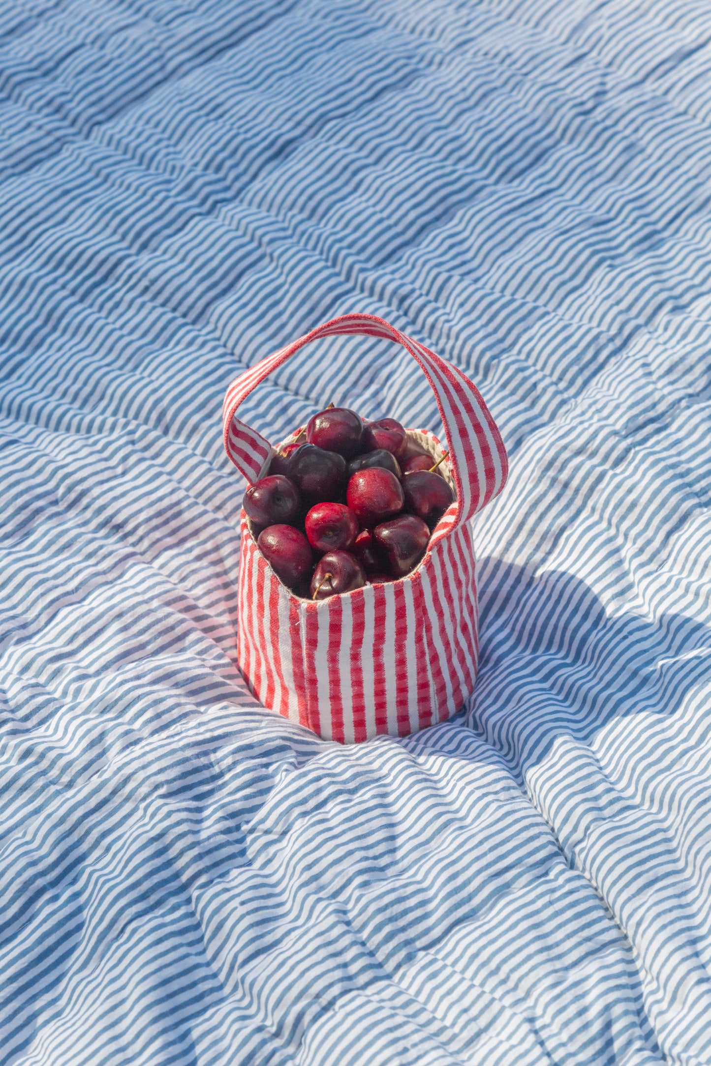 The Daphne Mini Tote